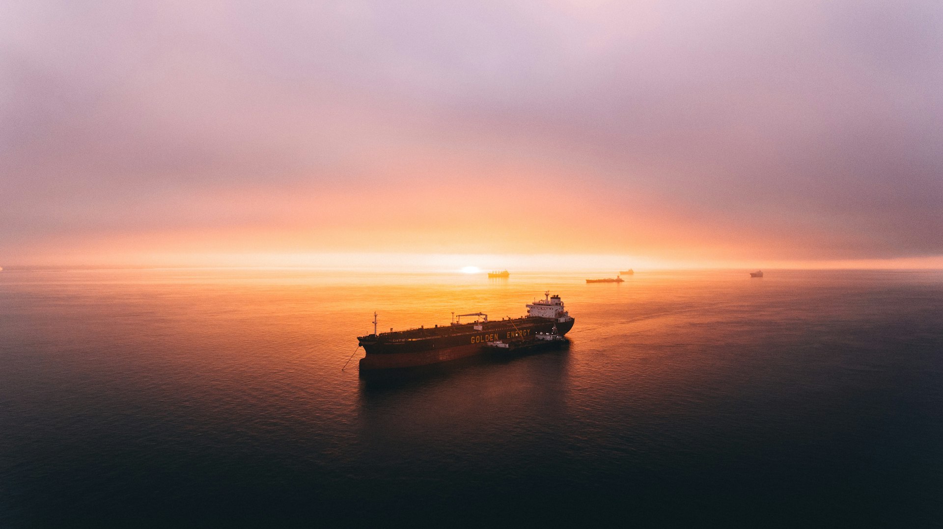 ALSAYED CLEARING & FORWARDING